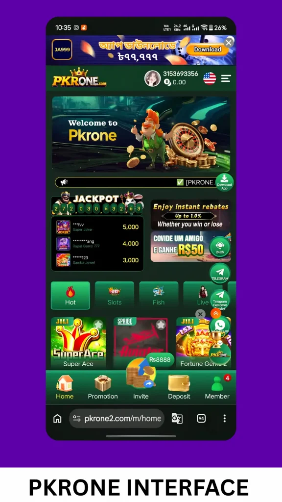 PKRONE GAME INTERFACE